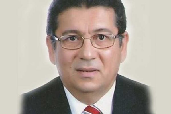 Mohamed EL Gammal
